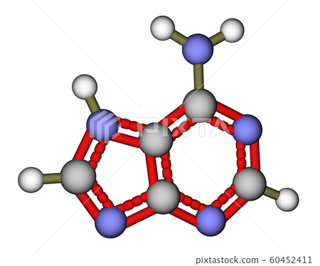 Nucleobase adenine molecular structure 60452411