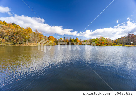 Shiozawa Lake in autumn leaves 60453652