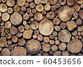 Wooden background, wood cross sections. Natural 60453656