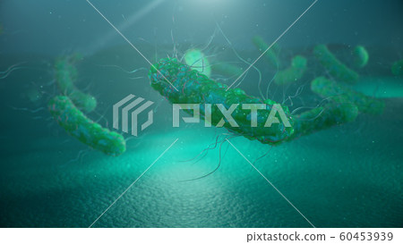 Viruses causing infectious diseases, decreased immunity. Concept of viral disease. Virus abstract background. Cell infect organism. Abstract pathogenic bacteria. Rabies virus, 3d illustration Viruses causing infectious diseases, decreased immunity. Concept of viral disease. Virus abstract background. Cell infect organism. Abstract pathogenic bacteria. Rabies virus, 3d illustration 60453939