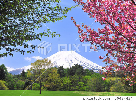 富士松公園77811的風景 60454434