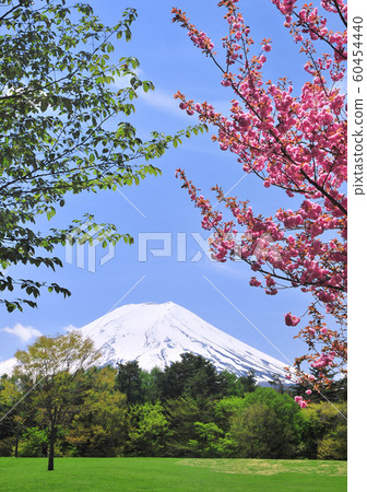 Scenery from Fuji Pines Park-77818 60454440