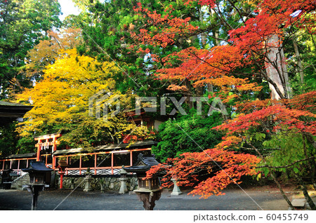 Myan Shrine（您的公司）的秋葉 60455749