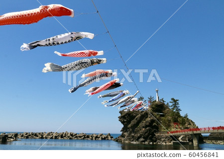 Carp streamer 60456841