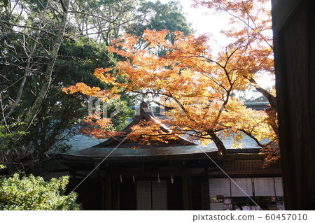 Kamakuragu shrine 60457010
