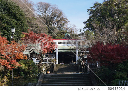 Kamakuragu shrine 60457014