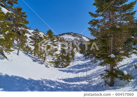從北八岳空中纜車山頂站沿冬季方向朝池山方向行駛 60457060