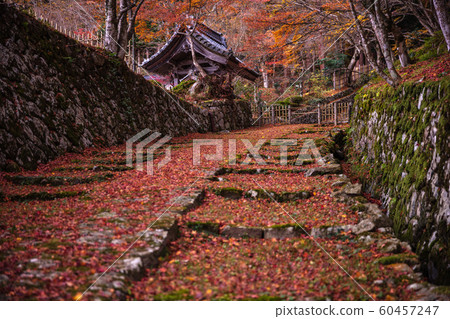 滋賀縣百濟寺紅葉 滋賀縣百濟寺紅葉 60457247