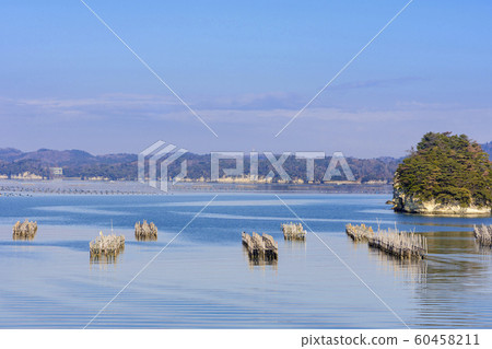 宮城（野野島，浦戶群島，松島灣） 60458211