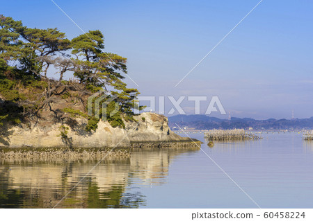 宮城（野野島，浦戶群島，松島灣） 60458224