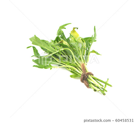 Water spinach , Morning Glory an isolated on white Water spinach , Morning Glory an isolated on white 60458531