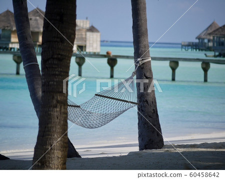 Maldives to spend with you One Week. Maldives to spend with you One Week. 60458642