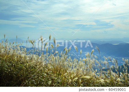 蒲葦，蒲葦，藍天， 60459001