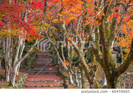 Shiga Prefecture 60459085