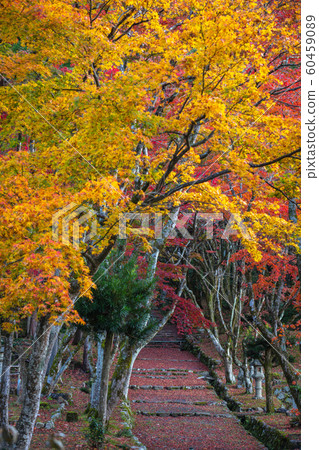 Shiga Prefecture 60459089