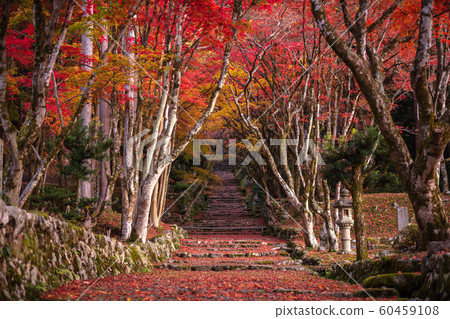 Shiga Prefecture Shiga Prefecture 60459108