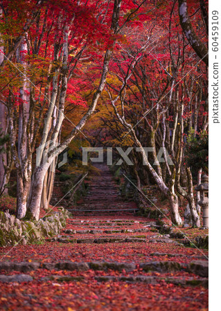 Shiga Prefecture Shiga Prefecture 60459109