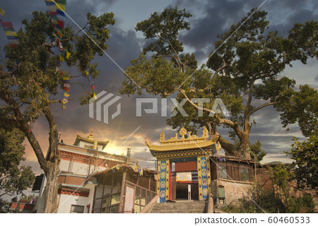 Bodhnath stupa Bodhnath stupa 60460533