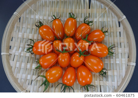 Tomato Tomato 60461875