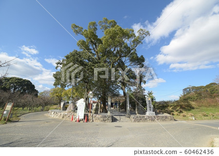 Sakamoto Hachimangu Shrine Sakamoto Hachimangu Shrine 60462436