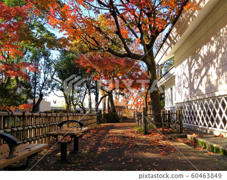 Soho Park, Ota-ku, Tokyo Soho Park, Ota-ku, Tokyo 60463849