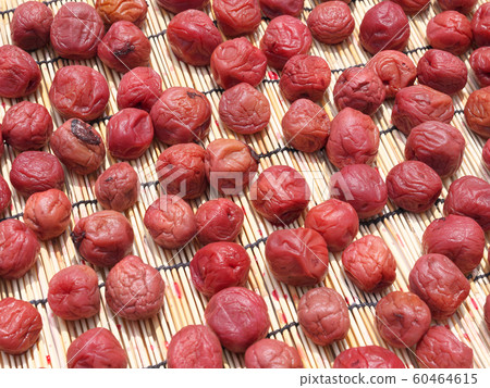 Minamitakaume, Umeboshi, Akajiso, Salted, Sun-dried Minamitakaume, Umeboshi, Akajiso, Salted, Sun-dried 60464615