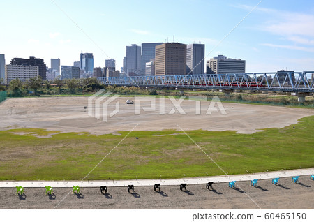 Blue sky, buildings and driving range Blue sky, buildings and driving range 60465150