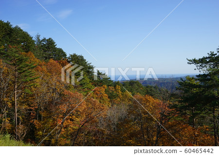 Akita Nobata Village in Sanriku Akita Nobata Village in Sanriku 60465442