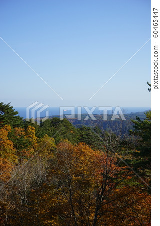 三陸的秋田信多村 三陸的秋田信多村 60465447