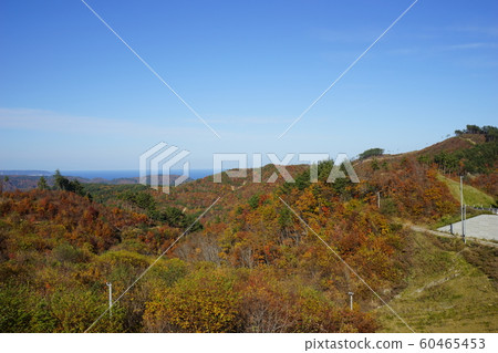 三陸的秋田信多村 60465453