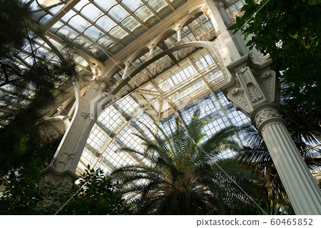 Palm house at Schonbrunn Palace 60465852