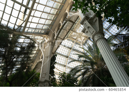 Palm house at Schonbrunn Palace Palm house at Schonbrunn Palace 60465854