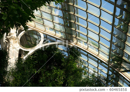 Palm house at Schonbrunn Palace 60465858