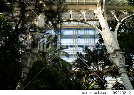 Palm house at Schonbrunn Palace Palm house at Schonbrunn Palace 60465860