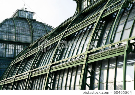 Palm house at Schonbrunn Palace Palm house at Schonbrunn Palace 60465864