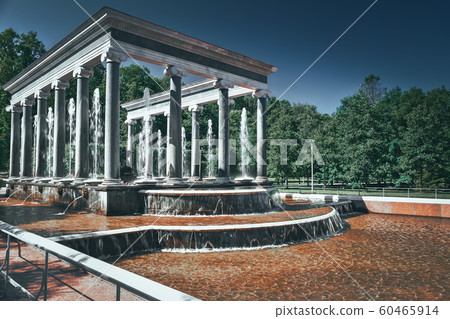 Lion Cascade in Pertergof, Saint-Petersburg. Lion Cascade in Pertergof, Saint-Petersburg. 60465914