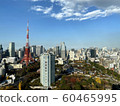 "Tokyo Landscape" Autumn and Tokyo Tower 60465995
