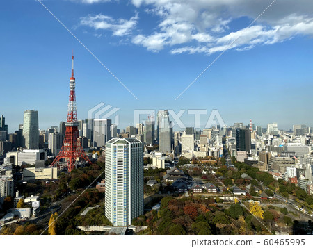 "Tokyo Landscape" Autumn and Tokyo Tower 60465995