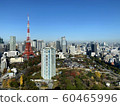 << Tokyo scenery >> Tokyo Tower and buildings 60465996