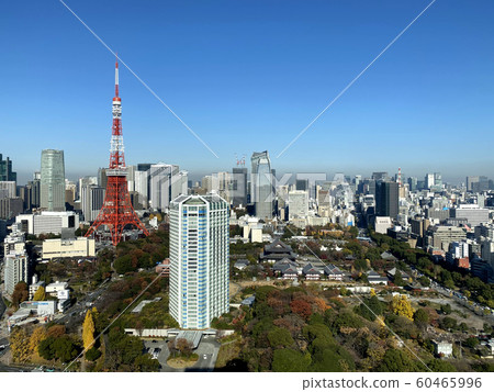 << Tokyo scenery >> Tokyo Tower and buildings 60465996
