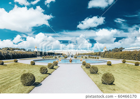 Upper Park in Pertergof, Saint-Petersburg city , Upper Park in Pertergof, Saint-Petersburg city , 60466170