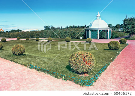 Upper Park in Pertergof, Saint-Petersburg city , Upper Park in Pertergof, Saint-Petersburg city , 60466172