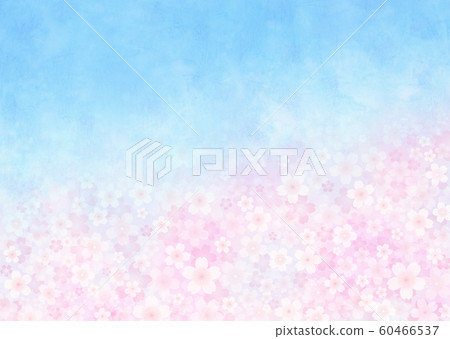Cherry blossoms in full bloom and blue sky Sakura blizzard Sakura Someiyoshino Cherry blossoms in full bloom and blue sky Sakura blizzard Sakura Someiyoshino 60466537