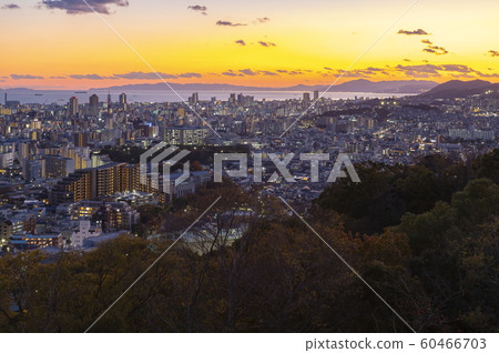 神戶的夜景，從兵庫山看兵庫縣和永田的方向。 60466703