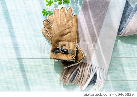 消聲器和手套 60466829