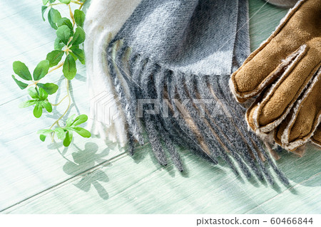 Muffler and glove Muffler and glove 60466844