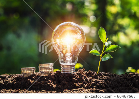 energy concept. eco power. lightbulb with money 60467665