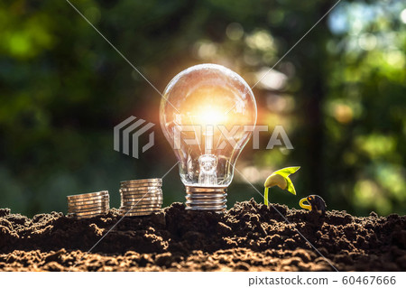 energy concept. eco power. lightbulb with money 60467666