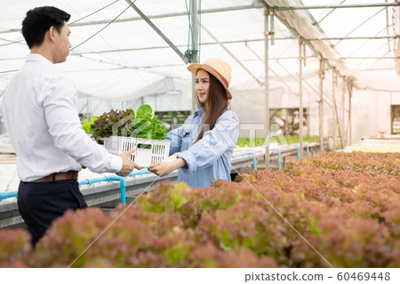 Manufacturers send baskets organic vegetables for 60469448