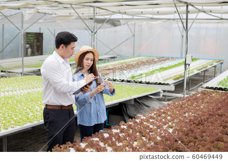 Man inspectors inspect and record the quality of 60469449